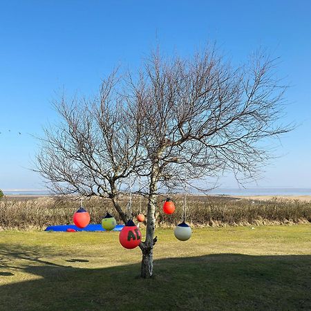 Haus Braeaetlun Ferienwohnung Braeaetlun 4 Norddorf auf Amrum Extérieur photo