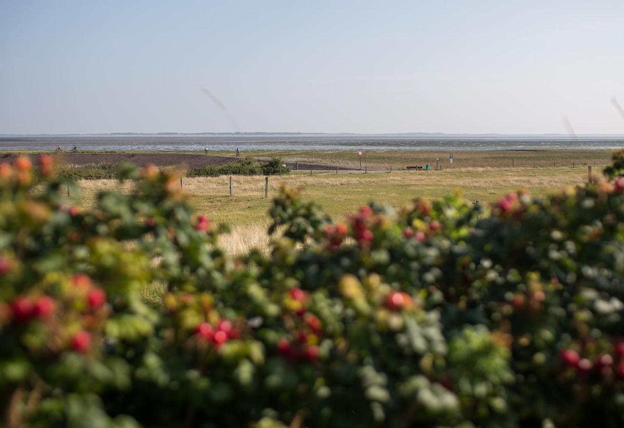 Haus Braeaetlun Ferienwohnung Braeaetlun 4 Norddorf auf Amrum Extérieur photo