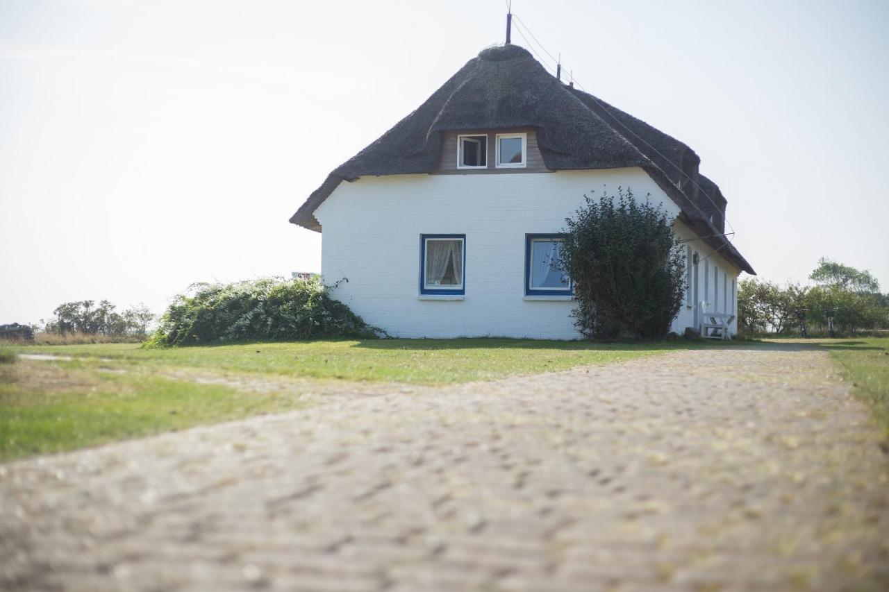Haus Braeaetlun Ferienwohnung Braeaetlun 4 Norddorf auf Amrum Extérieur photo