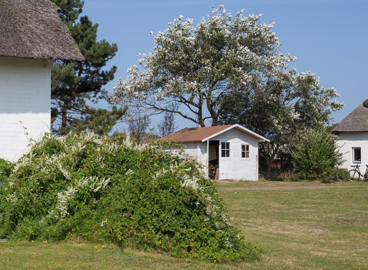 Haus Braeaetlun Ferienwohnung Braeaetlun 4 Norddorf auf Amrum Extérieur photo